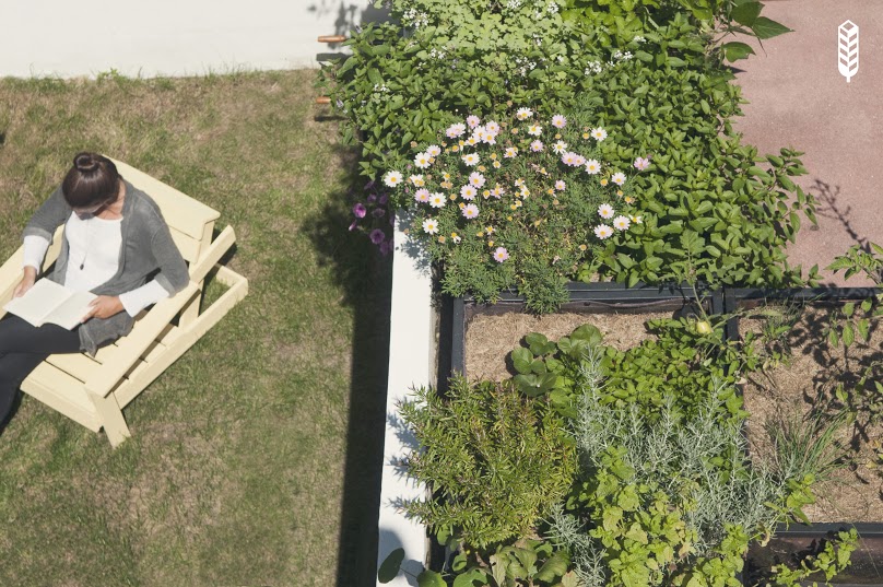 NoocityUrbanEcology_15