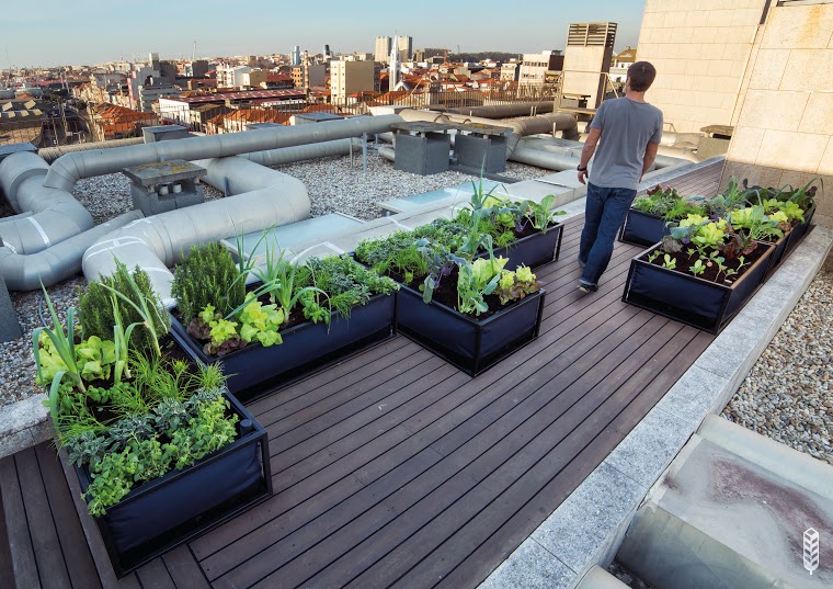 NoocityUrbanEcology_3