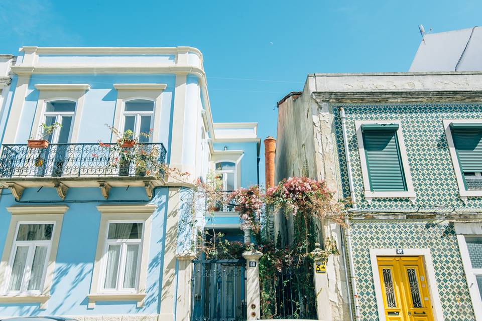 11136641_1034662526562631_4143494493448621409_n