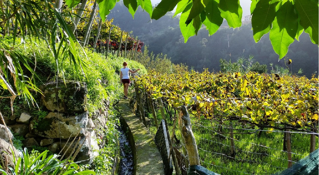 MADEIRA1