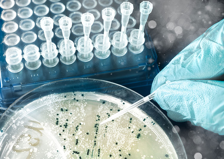 biomedicine[1]