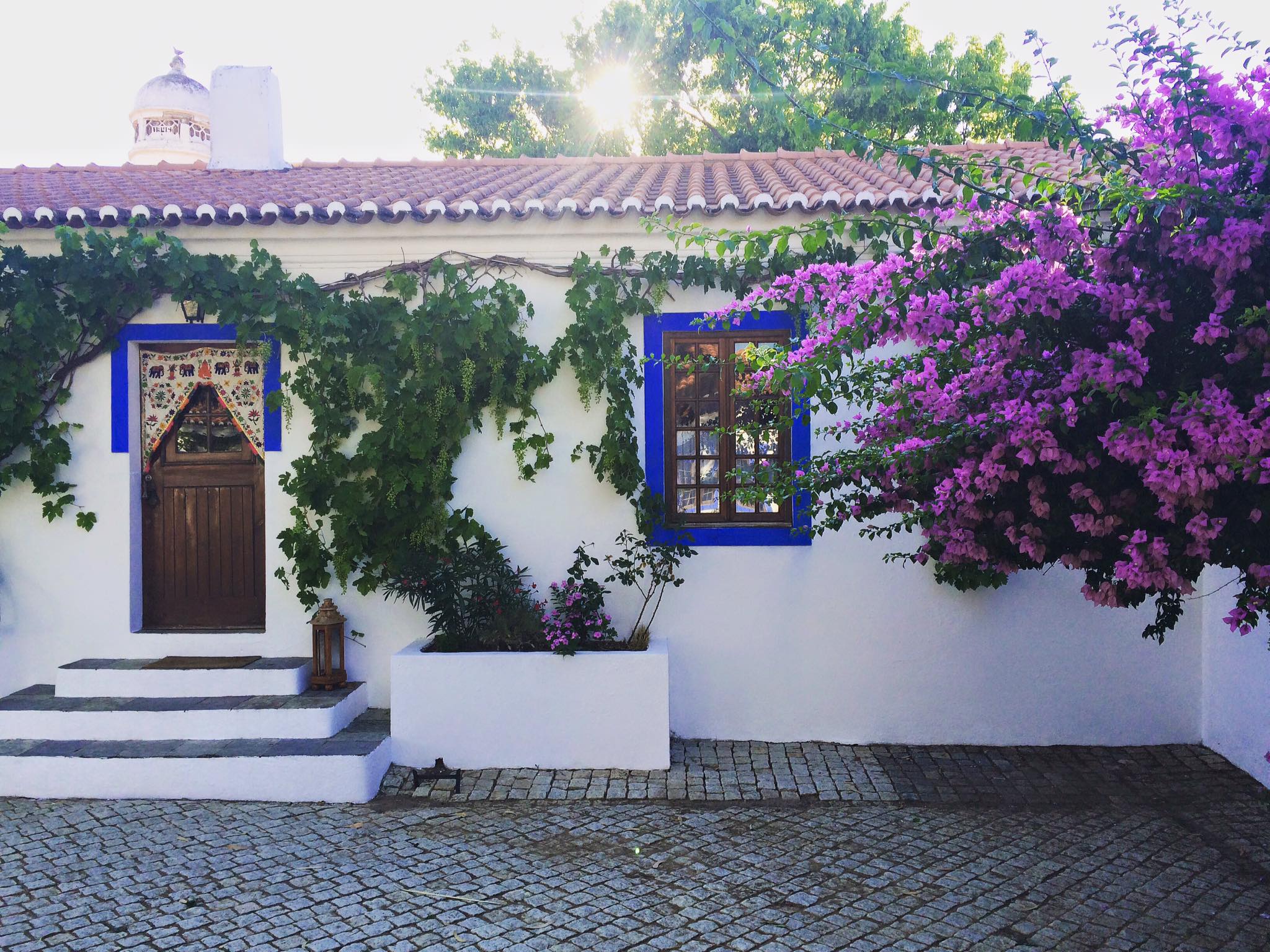 12028864_970090236346789_4566526277609301851_o