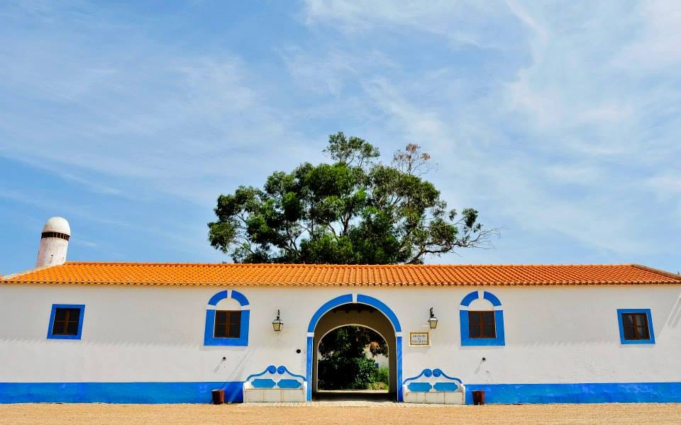 1457673_649862665036216_1136815635_n