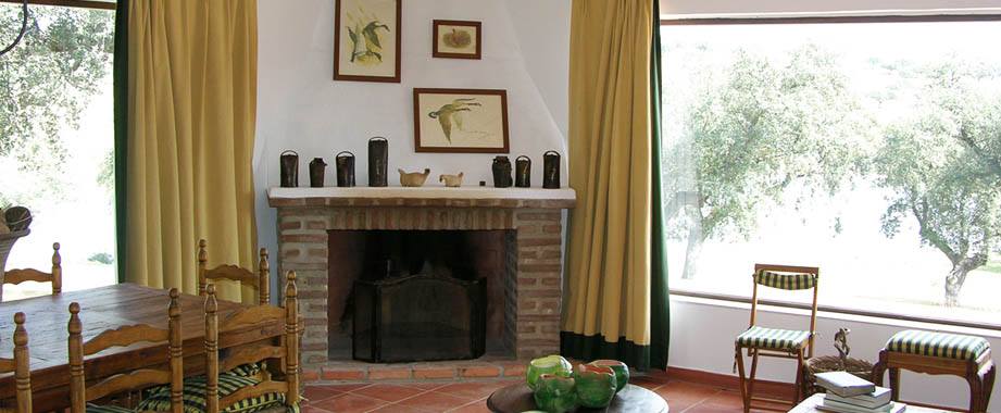 1467275_910887915600355_2081475620473487505_n