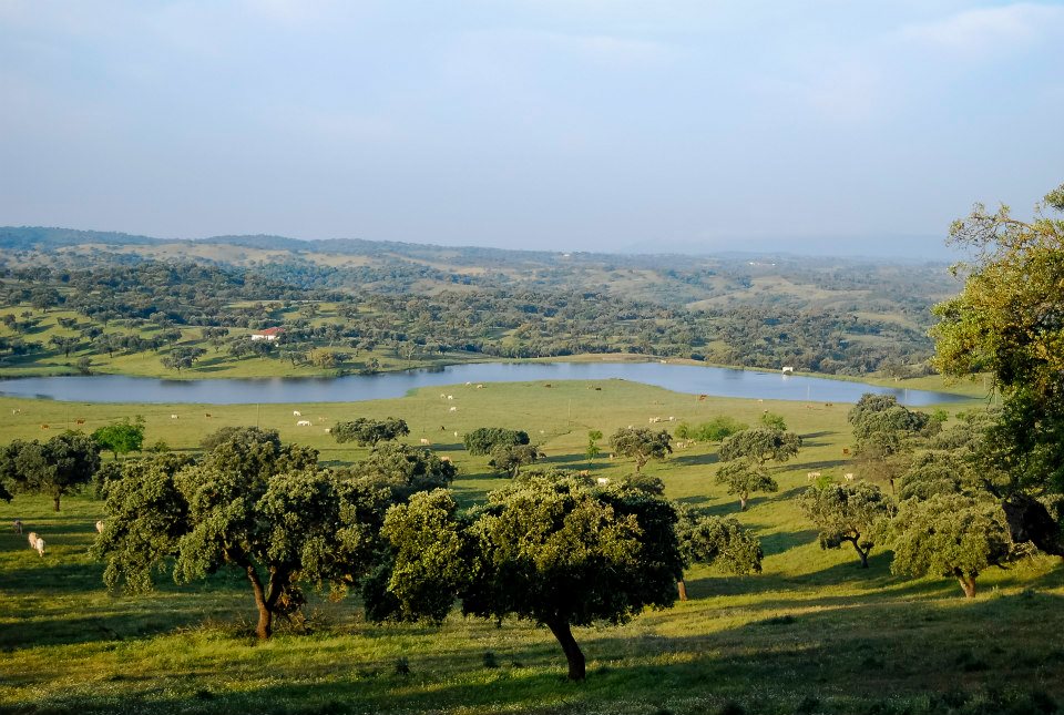 20586_498420386847112_1508150179_n