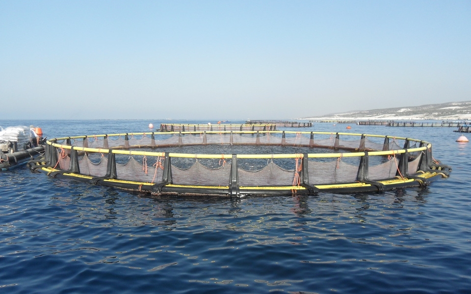 aquicultura
