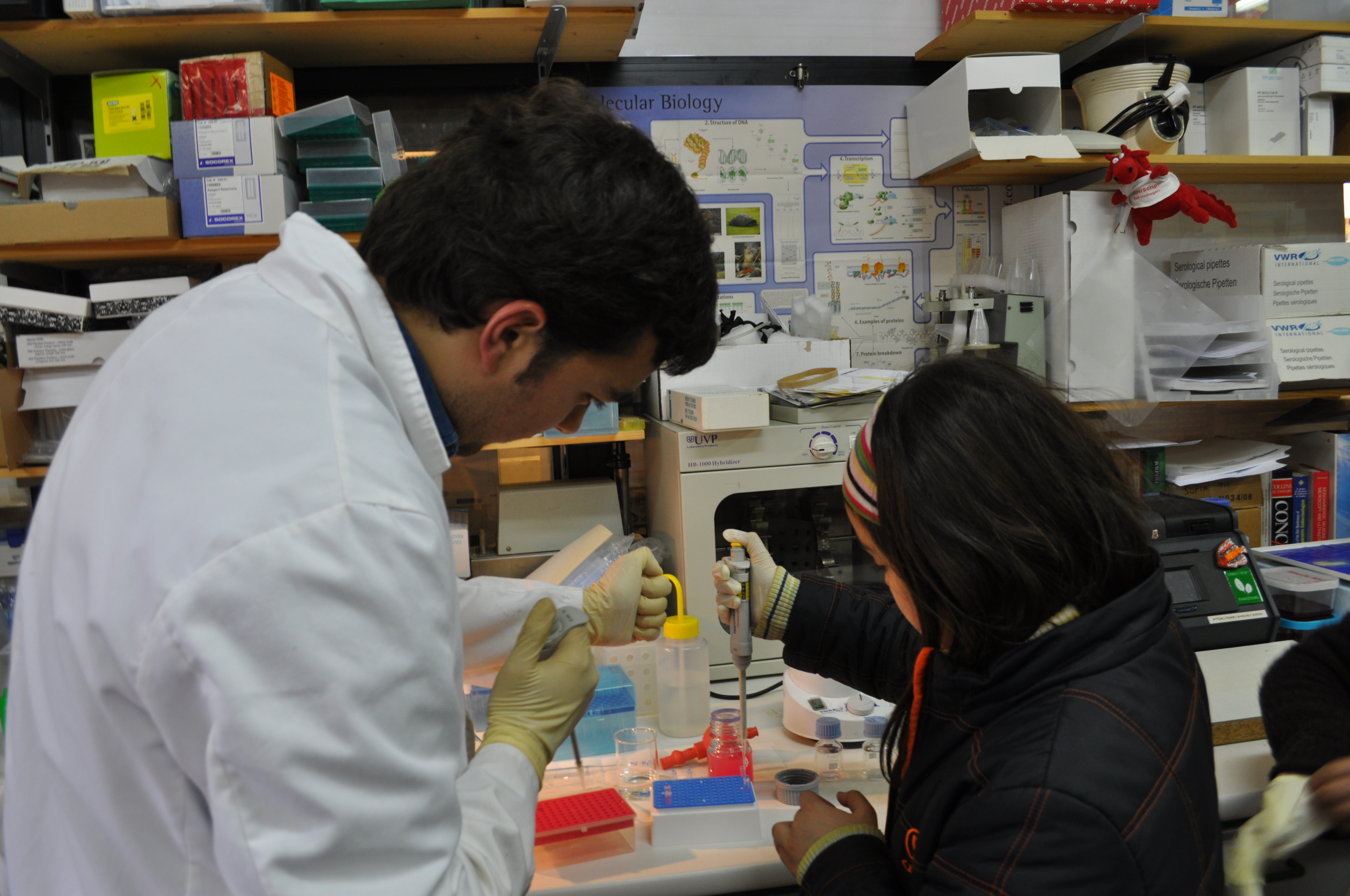 lab_Joana Saiote_CIIMAR (2)